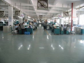 深圳技術服務 創新引擎，驅動城市高質量發展